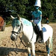 Anden særlig race Klaus