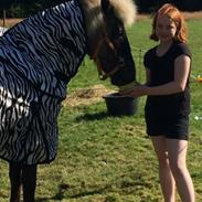 Islænder Marey fra Guorunarstooum