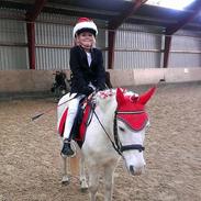 Anden særlig race Peter Pan