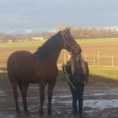 Traver Gunnison (R.I.P) 