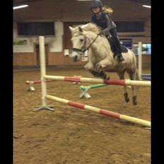 Anden særlig race Klaus