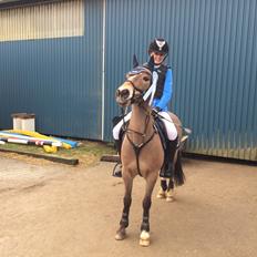 Anden særlig race Lucky