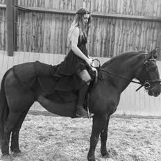 Anden særlig race Coppen