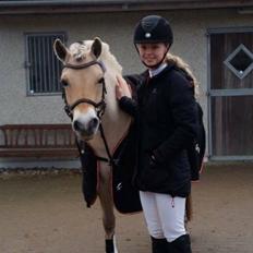 Fjordhest Glibings jura