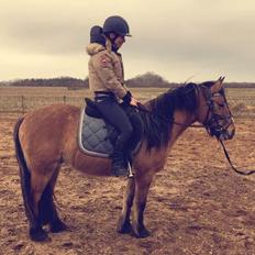 Anden særlig race Cappuccino