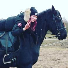 Frieser Prime Af Sortemosegaard