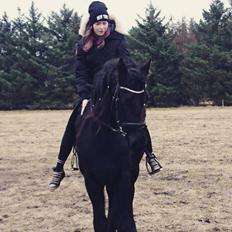 Frieser Prime Af Sortemosegaard