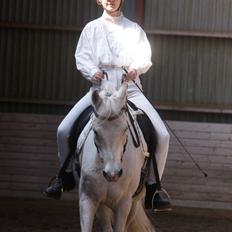 Anden særlig race Baunty