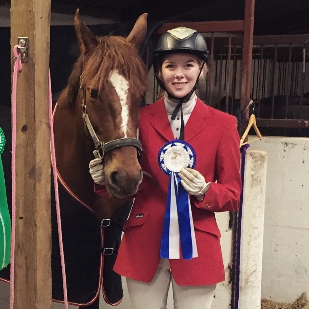 Dansk Varmblod Lille daugårds lady hit billede 12