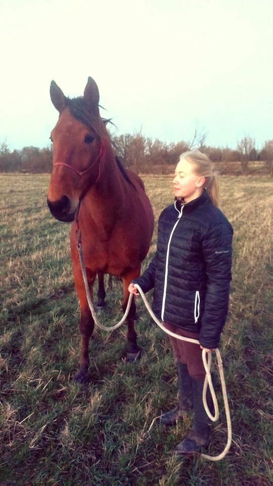 Traver Gunnison (R.I.P)  billede 2