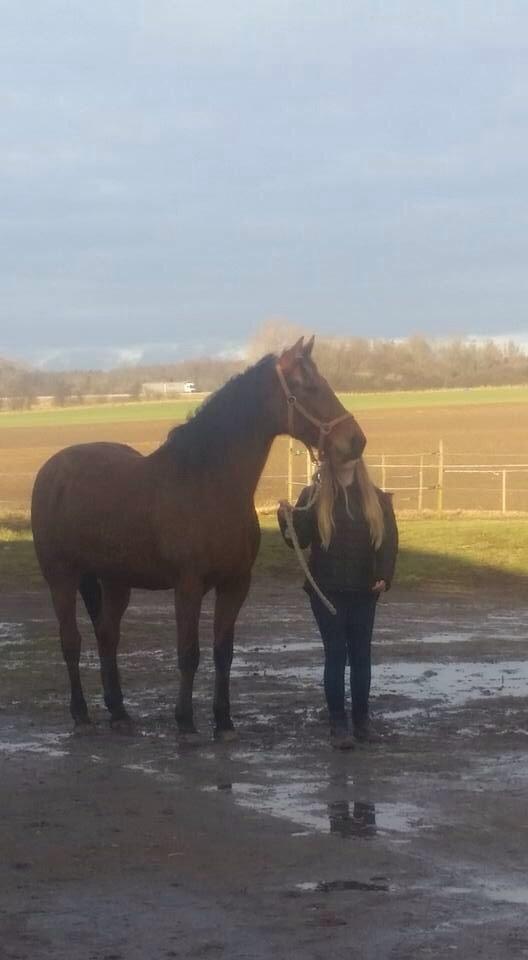 Traver Gunnison (R.I.P)  billede 3