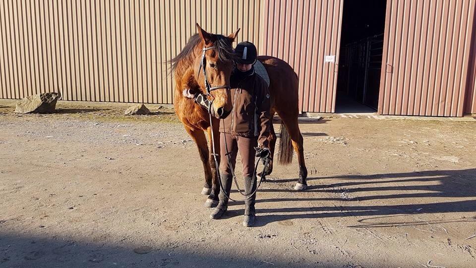 Traver Gunnison (R.I.P)  billede 7