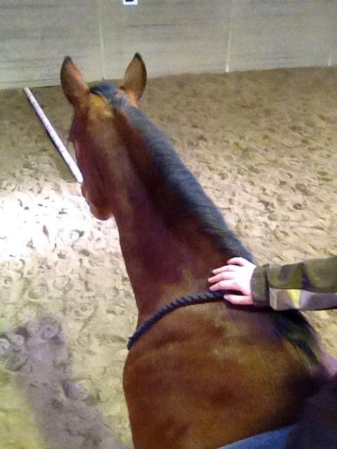 Traver Gunnison (R.I.P)  billede 10