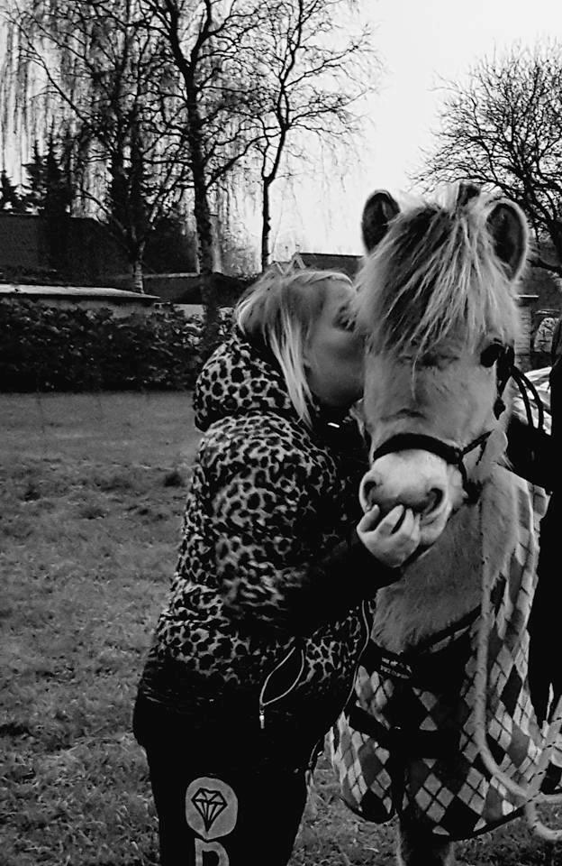 Fjordhest Risdal's kaisa - mig og min skønne pony <3 billede 4