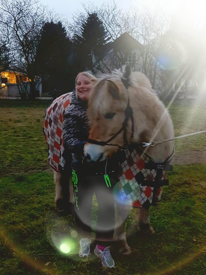 Fjordhest Risdal's kaisa - min skønne solstårle af en 3 års hoppe <3 ! billede 17