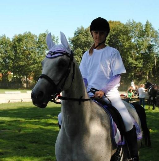 Arabisk fuldblod (OX) Svalegaards Esmakee OX billede 19