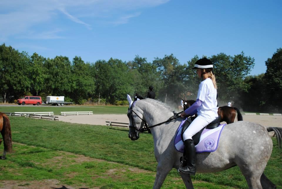 Arabisk fuldblod (OX) Svalegaards Esmakee OX billede 20