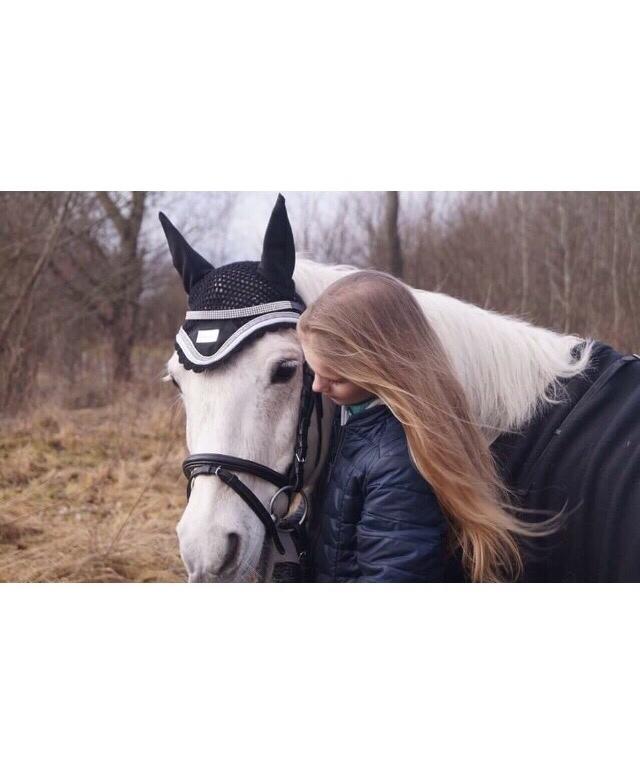 Anden særlig race Klaus billede 1