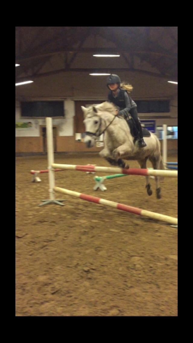 Anden særlig race Klaus billede 2