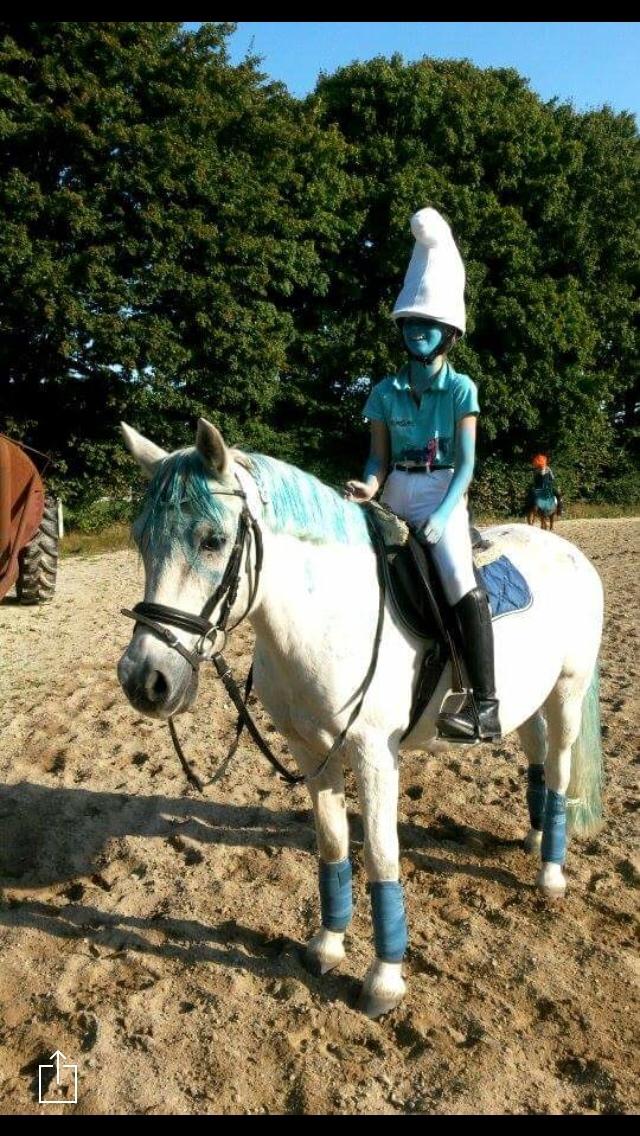 Anden særlig race Klaus billede 4