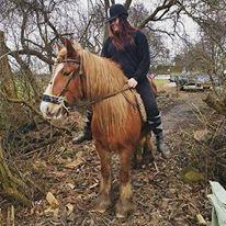 Tinker Morgana billede 1