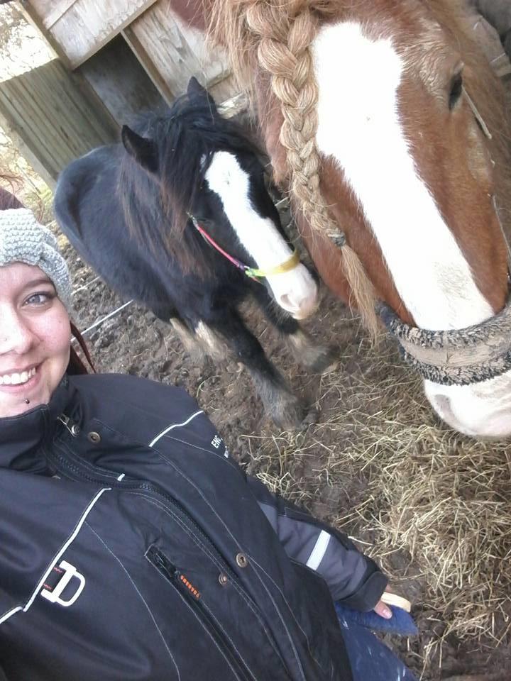 Tinker Morgana billede 7