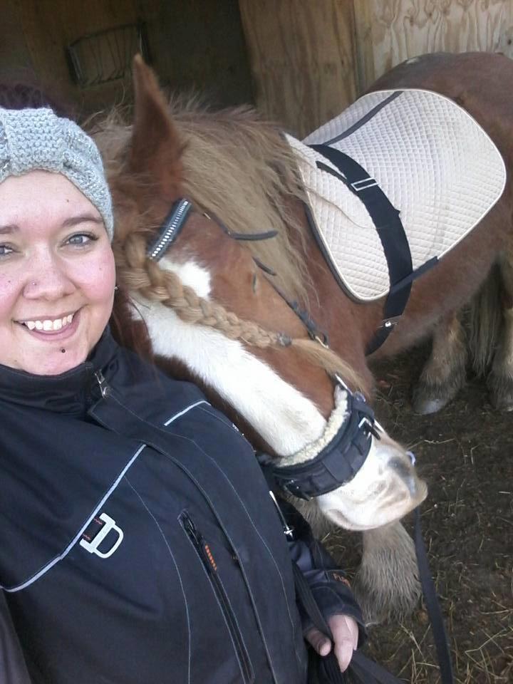 Tinker Morgana billede 9