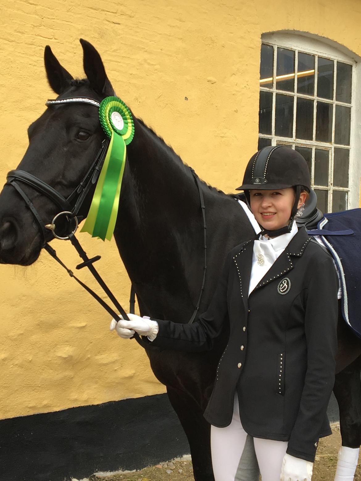 Dansk Varmblod Tranholms Santiago - Stævne marts 2017, GRR4 billede 5