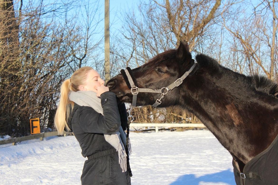 Anden særlig race Casanto billede 9