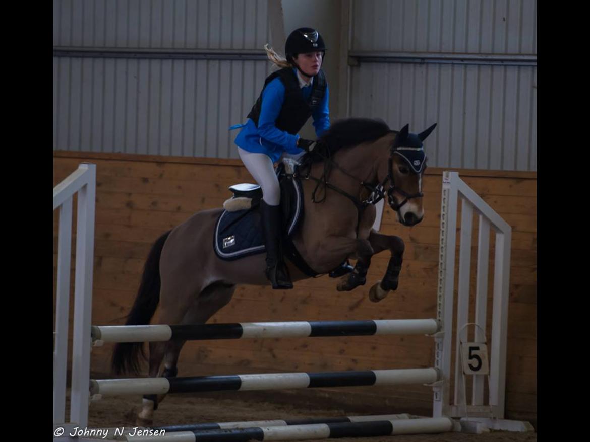 Anden særlig race Lucky billede 2