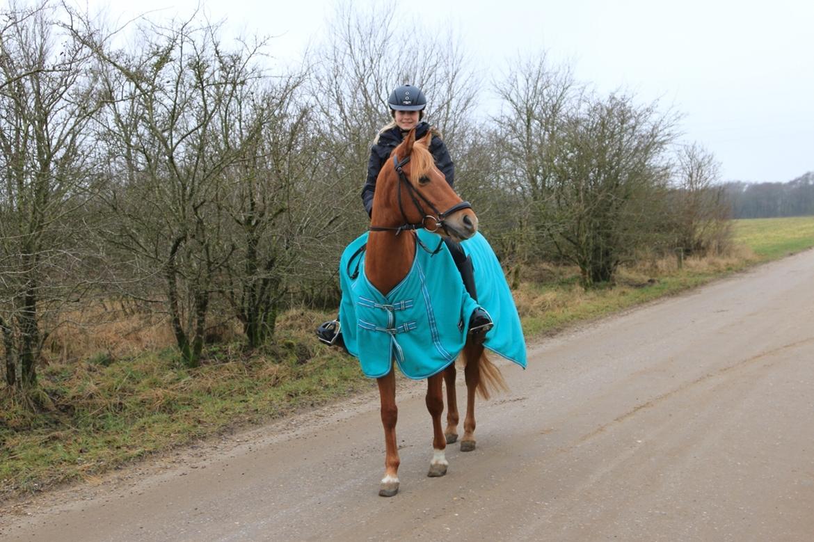 Anden særlig race Speedy <3 billede 1