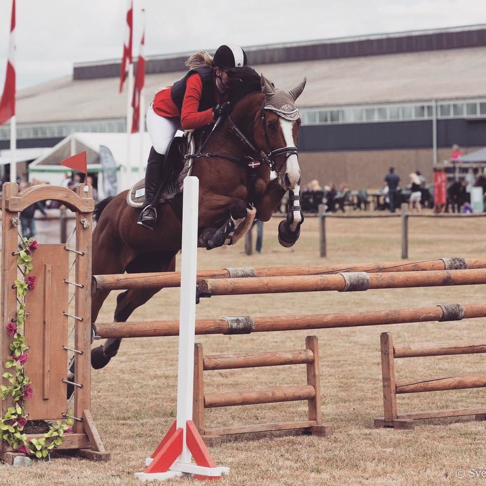Dansk Varmblod Cornelia højbo *Himmel hest* - Første 115 cm :)  billede 19