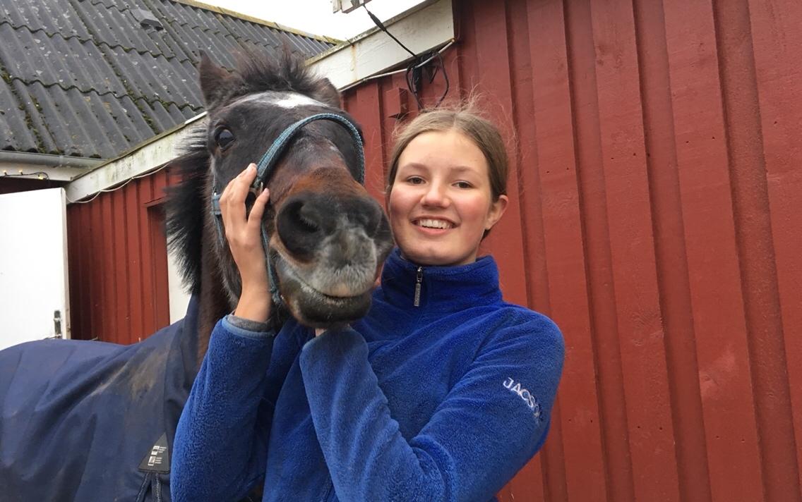 Anden særlig race Marco billede 10