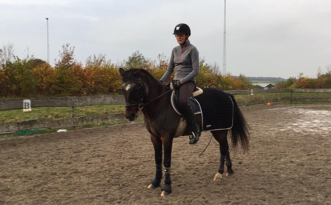 Anden særlig race Marco billede 11