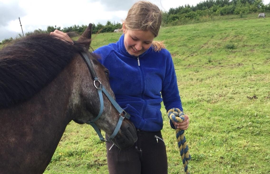 Anden særlig race Marco billede 18