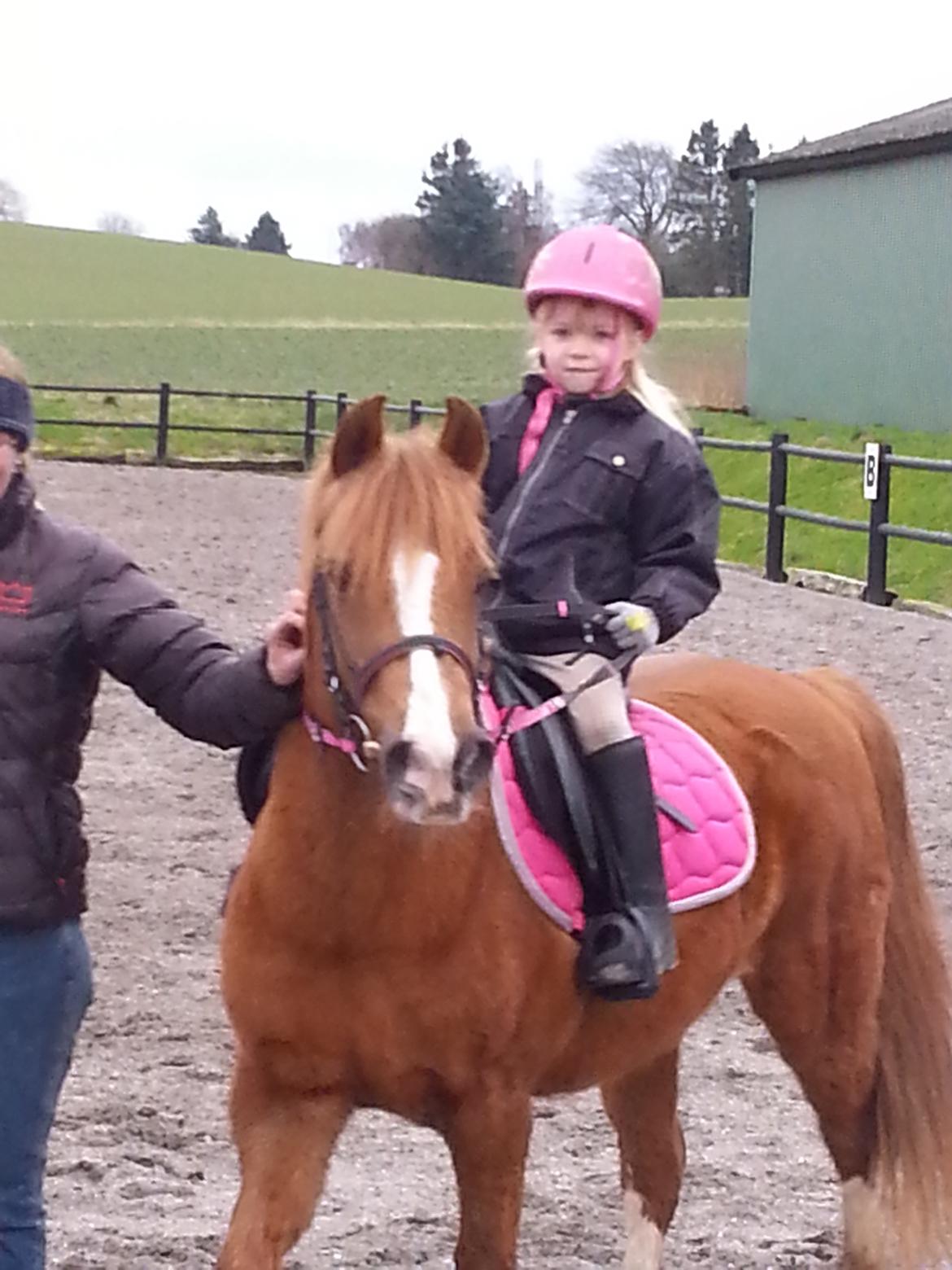 Anden særlig race Jonas billede 4