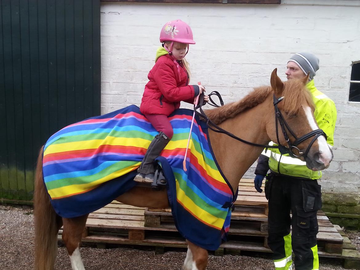 Anden særlig race Jonas billede 5