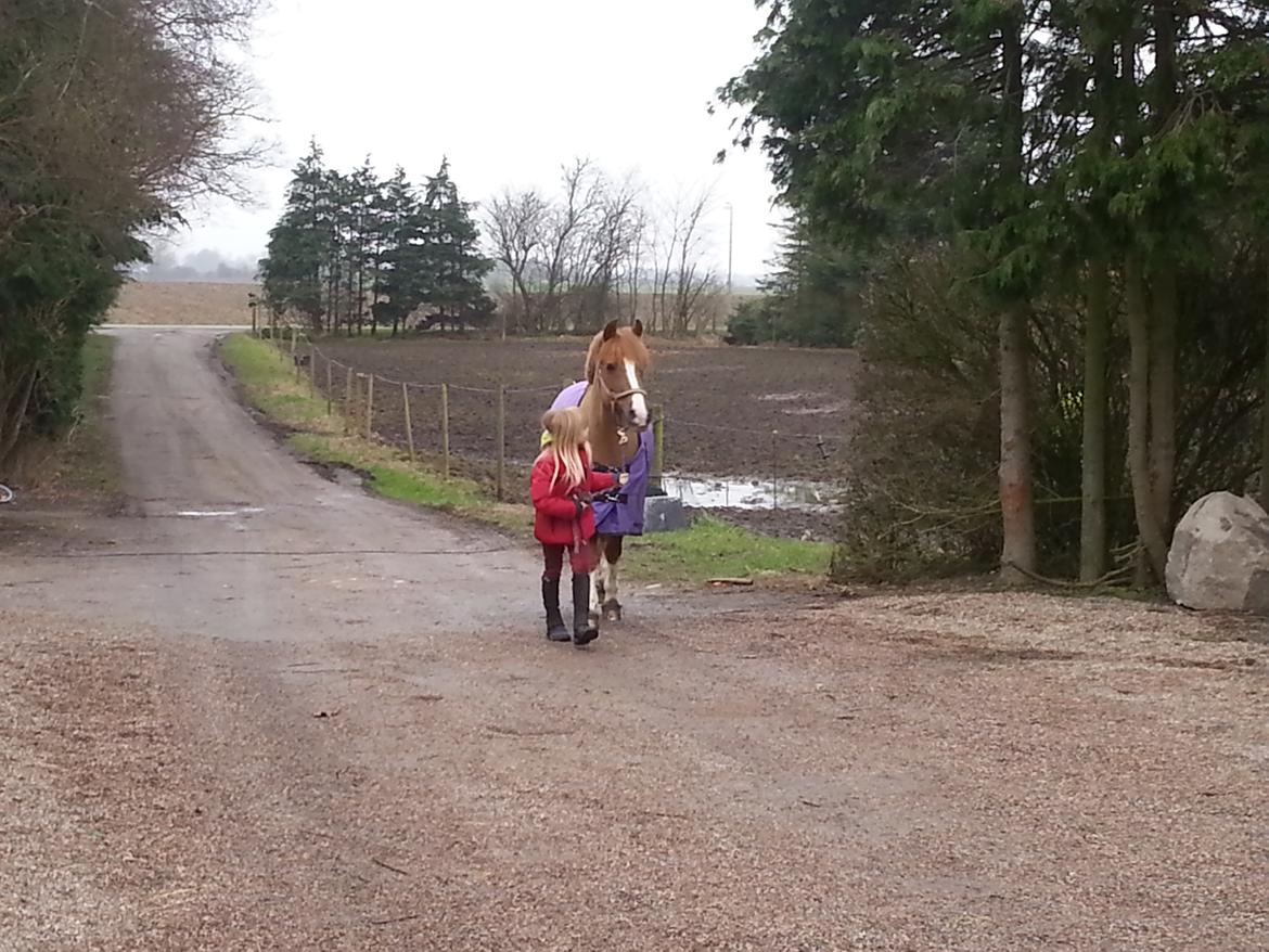 Anden særlig race Jonas billede 6
