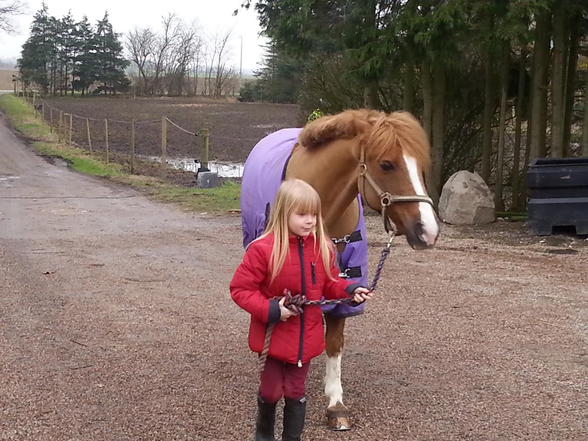 Anden særlig race Jonas billede 7
