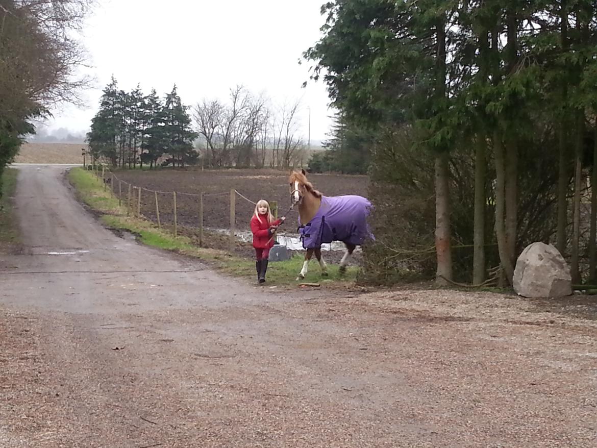 Anden særlig race Jonas billede 8