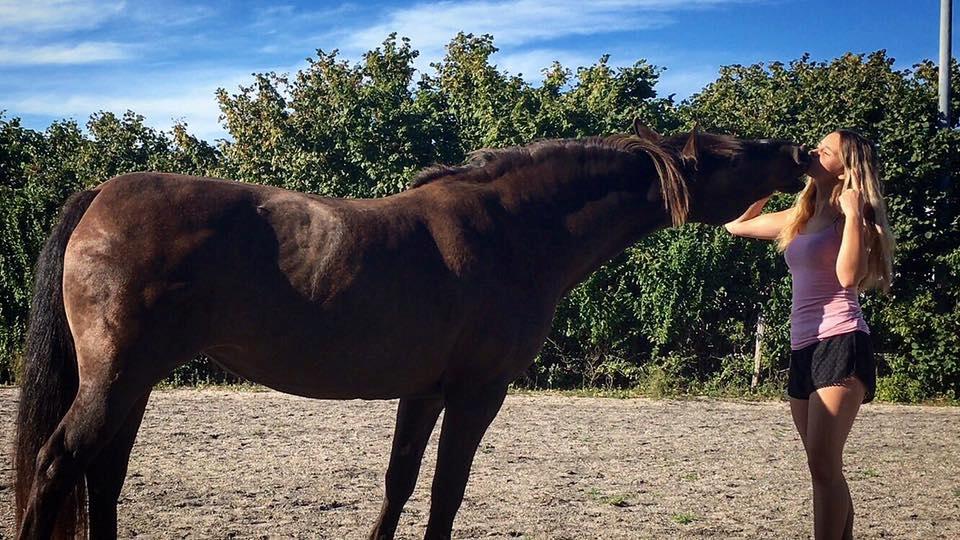 Anden særlig race Coppen billede 2