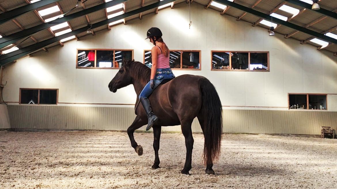 Anden særlig race Coppen billede 4