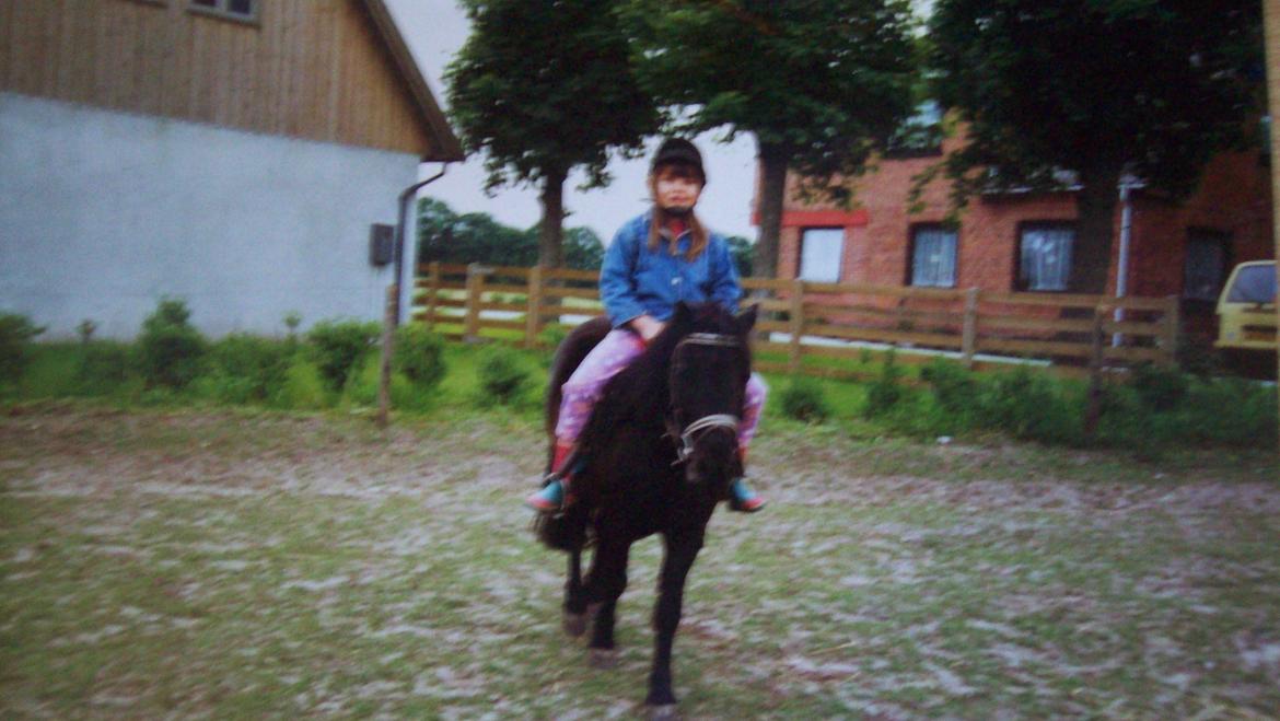 Anden særlig race Buller - Buller 3 år med min datter på 5 år, hun fylder 30 i år (2017) billede 18