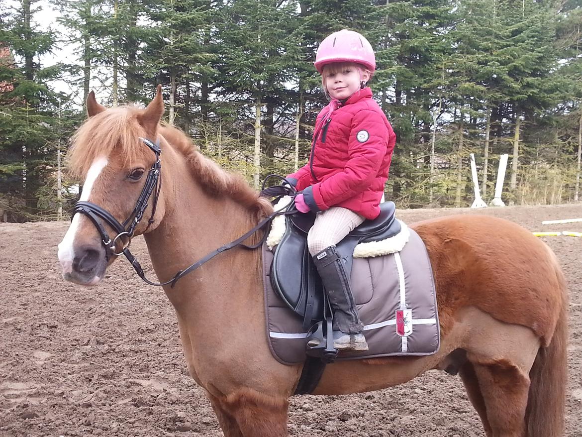 Anden særlig race Jonas billede 9