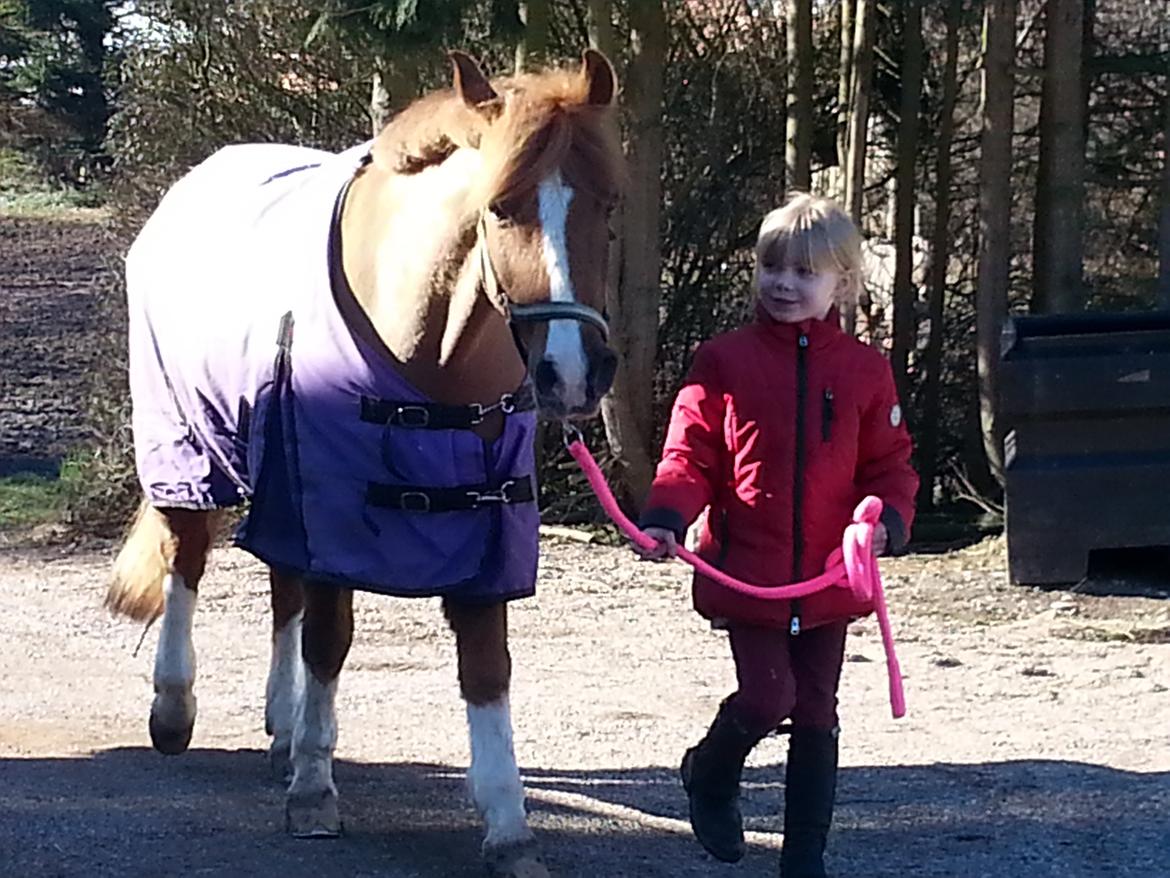 Anden særlig race Jonas billede 10