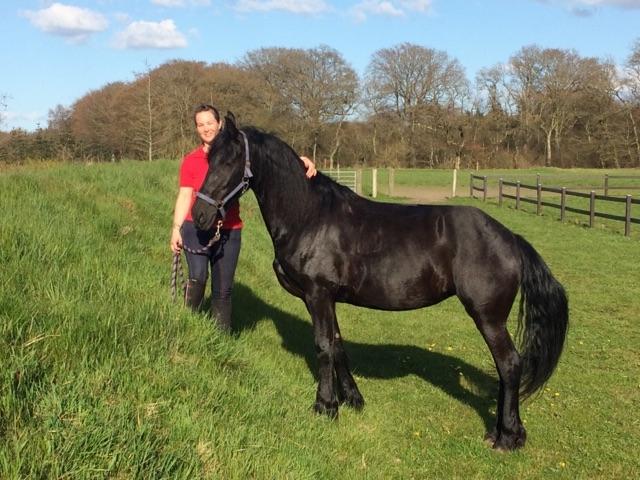 Frieser Hotske ll Van Jikke D  billede 5