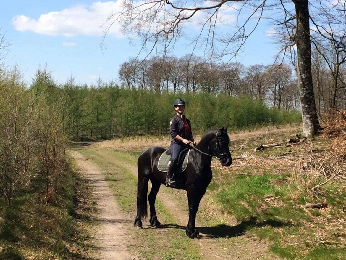 Frieser Hotske ll Van Jikke D  billede 7