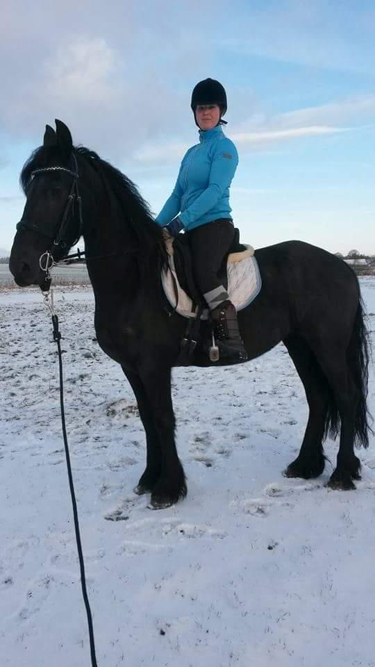 Frieser Hotske ll Van Jikke D  billede 8