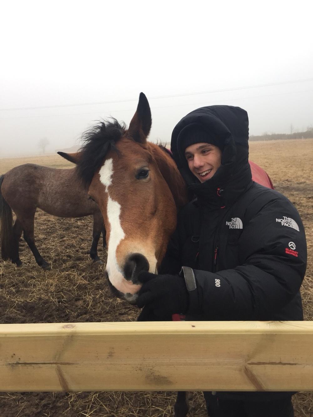 DSP Madeira billede 16