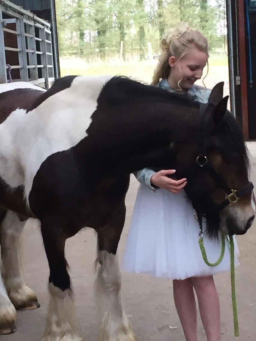 Tinker Bonni billede 1
